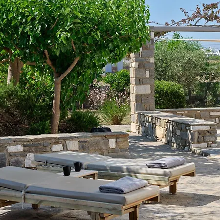 Seasalt Dream Villa,santa Maria 5 Min From Naousa *